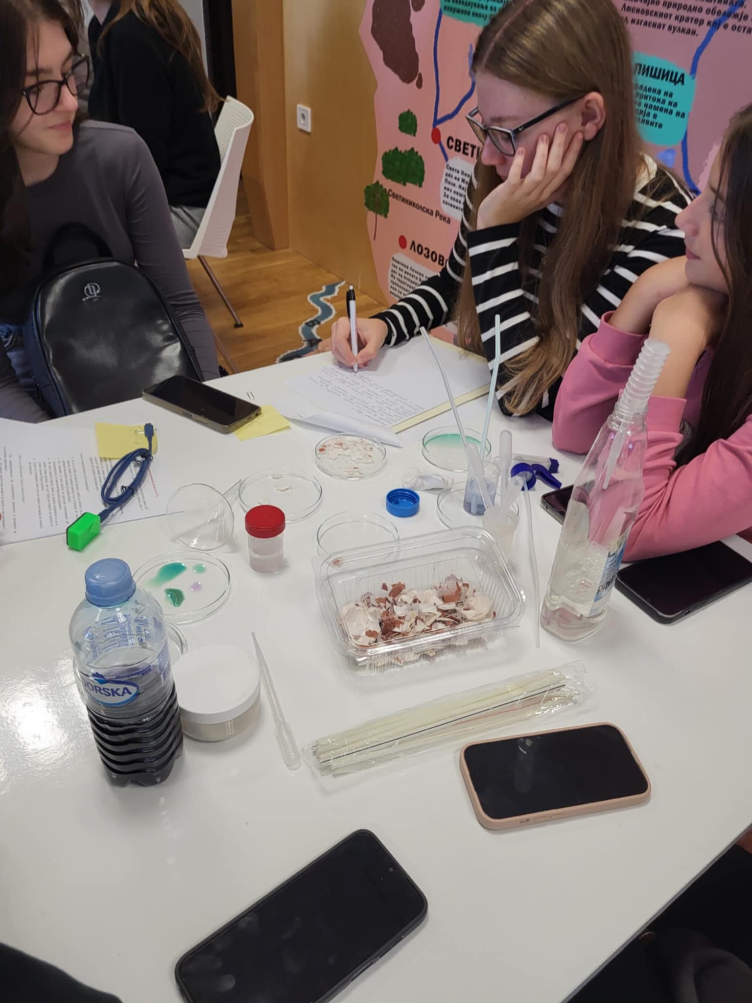 Едукативни Работилници за Чиста животна средина: Искуства на Учениците од ООУ"Гоце Делчев"-Свети Николе