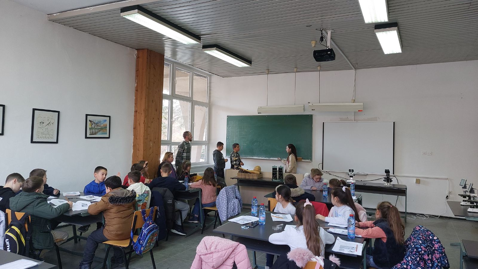 Млади истражувачи - Истражуваме како се исхрануваат растенијата